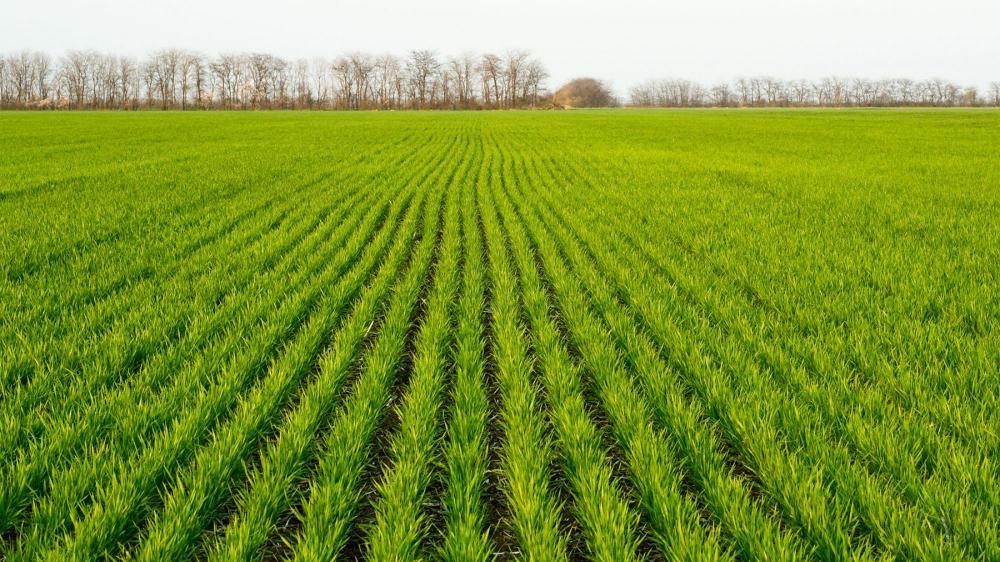 2025 CUSTOM MADE 1822 — photo 8
