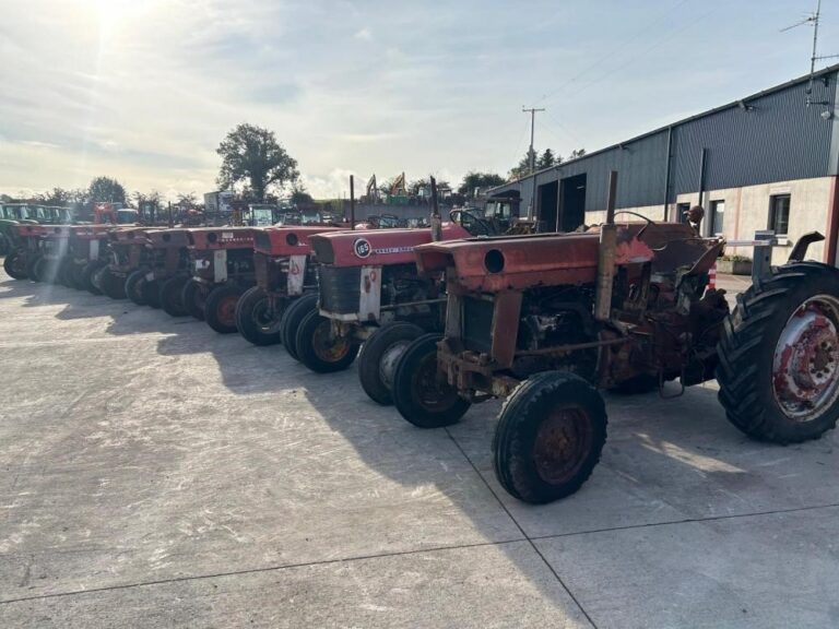 1980 MASSEY FERGUSON 165 — photo 10