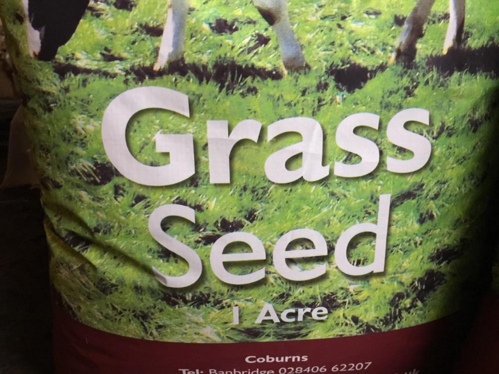 2025 Coburn Grass Seed — photo 4